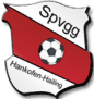 https://img.xhjcn.com/img/football/team/098719be6686cc7618004f2846fd9246.png